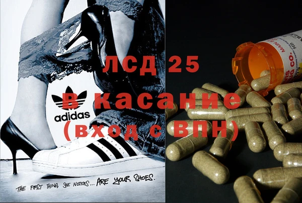 PSILOCYBIN Алексин