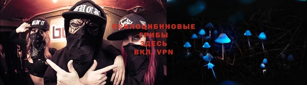 spice Алексеевка