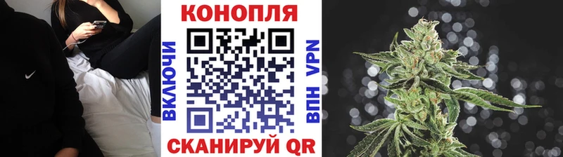 Конопля Bruce Banner  где найти наркотики  гидра онион  Волхов 